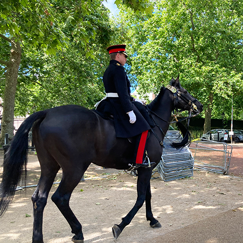 Buckingham palace